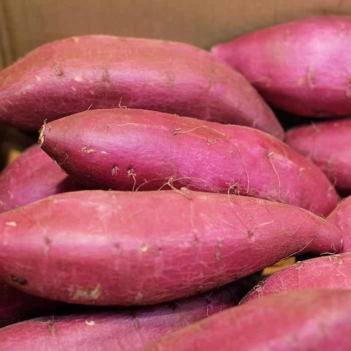 千葉県産（JAかとり）さつまいも シルクスイート 秀品 Mサイズ 約4.5kg