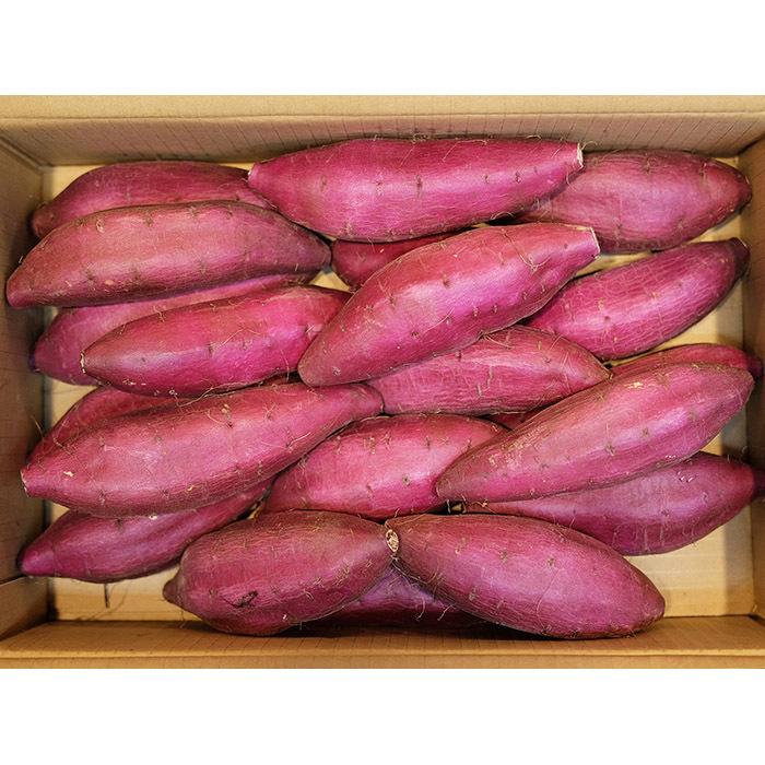 千葉県産（JAかとり）さつまいも シルクスイート 秀品 Mサイズ