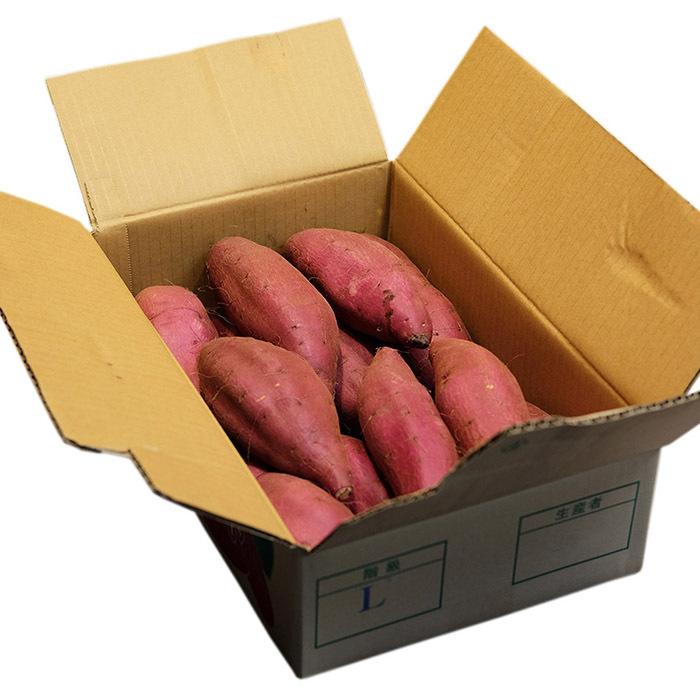 専用 シルクスイート 15+5kg(箱込) S(約100g～200g) 048