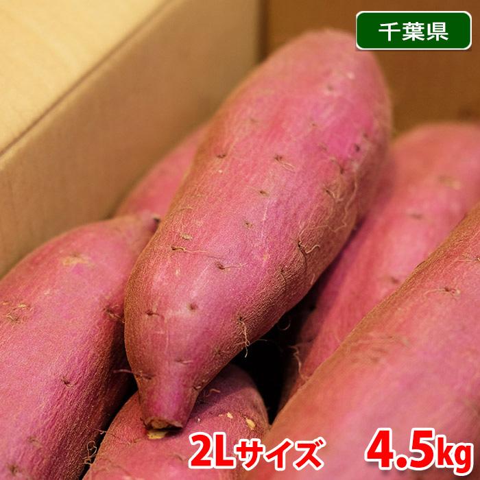 ■シルクスイート■千葉県産■秀Mサイズ■約10キロ(5キロ入×2ケース)■ Amazon.co.jp: 千葉県産（JAかとり）さつまいも シルクスイート