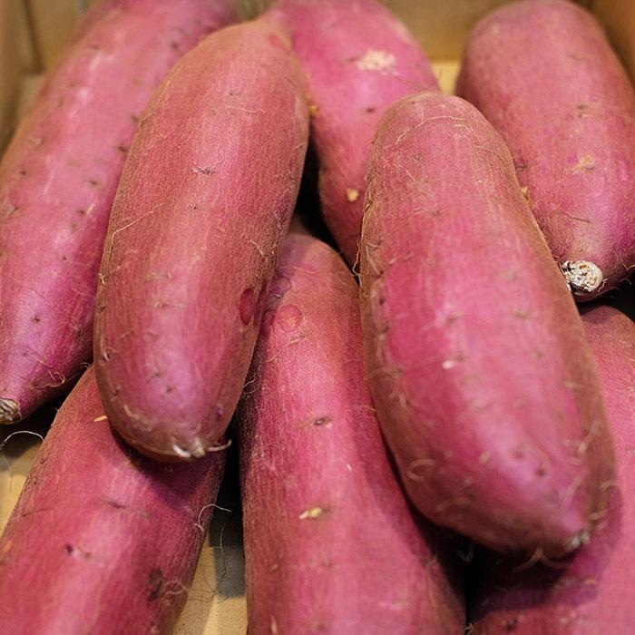 シルクスイート20KG Sサイズ A等級 千葉県産　さつまいも 千葉県産（JAかとり）さつまいも シルクスイート 秀品 2Lサイズ 約4.5