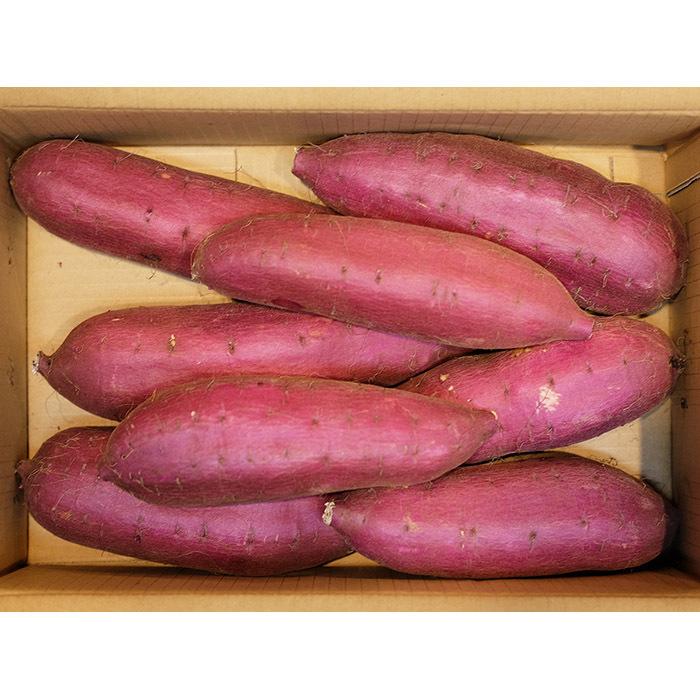 千葉県産（JAかとり）さつまいも シルクスイート 秀品 2Lサイズ 約4.5