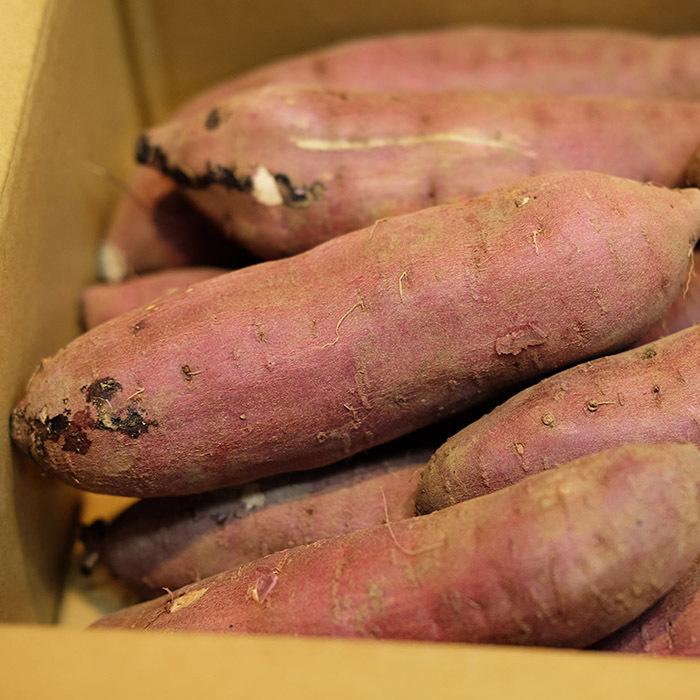 茨城県産紅はるかLサイズ60キロ YU品 茨城県産紅はるかLサイズ60キロ YU品 茨城県産紅はるか