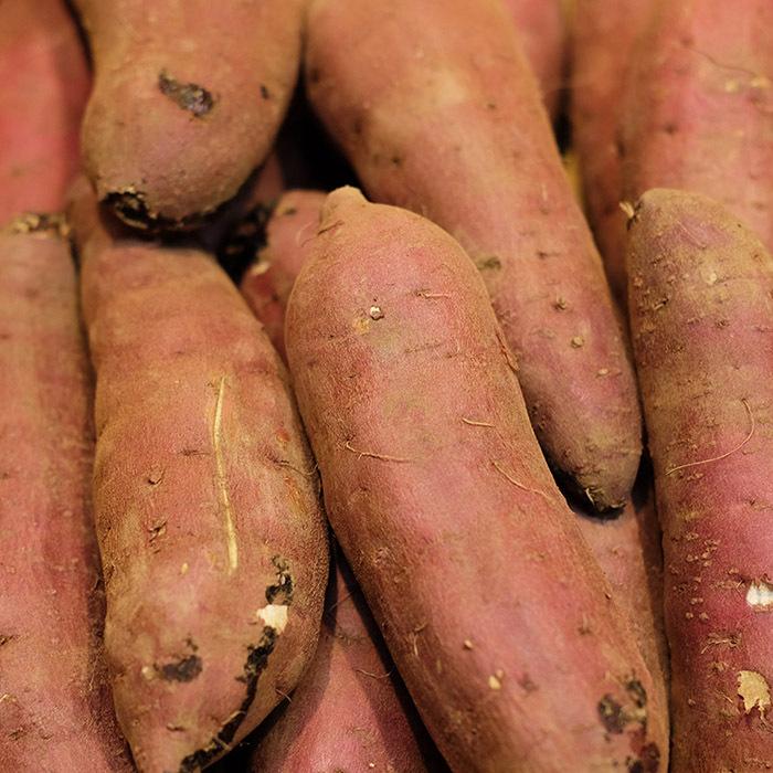 茨城県産紅はるかLサイズ60キロ YU品 茨城県産紅はるかLサイズ60キロ YU品 茨城県産紅はるか