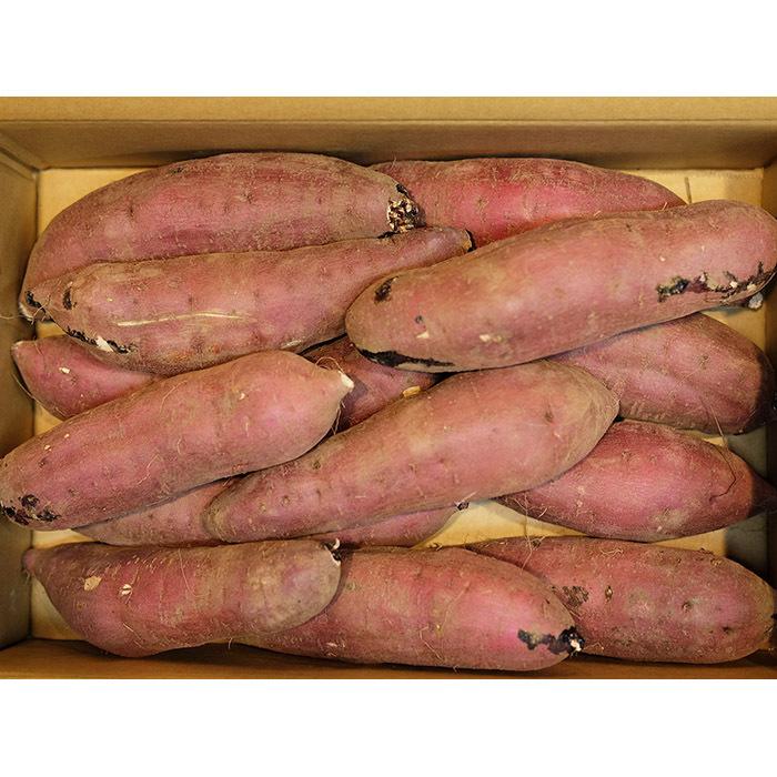 茨城県産（JA茨城旭村）さつまいも 旭甘十郎 紅はるか 特秀 Lサイズ 約