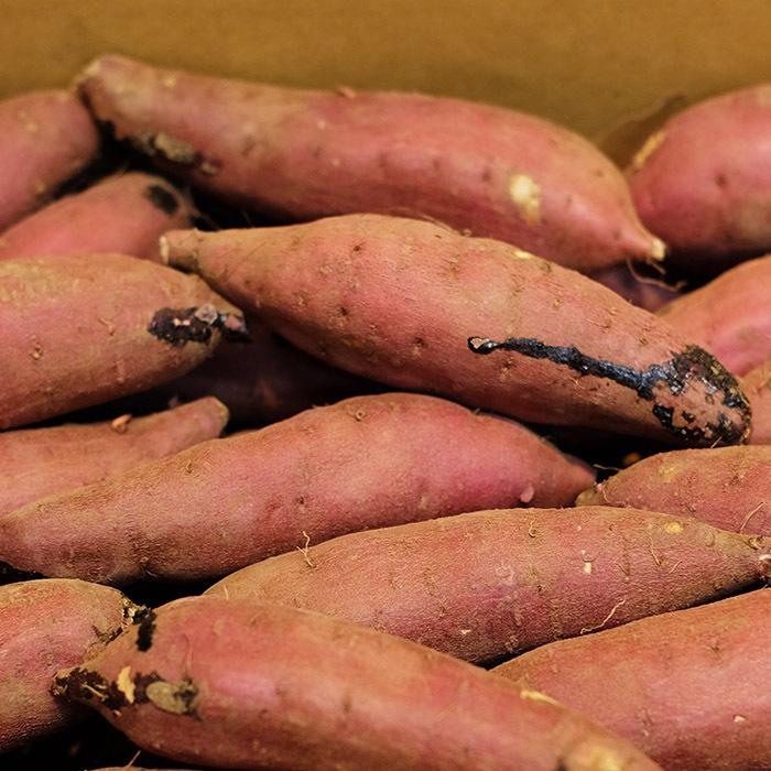 茨城県産（JA茨城旭村）さつまいも 旭甘十郎 紅はるか 特秀 Sサイズ 約