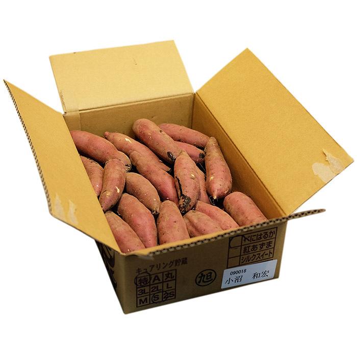 茨城県産（JA茨城旭村）さつまいも 旭甘十郎 紅はるか 特秀 Sサイズ 約