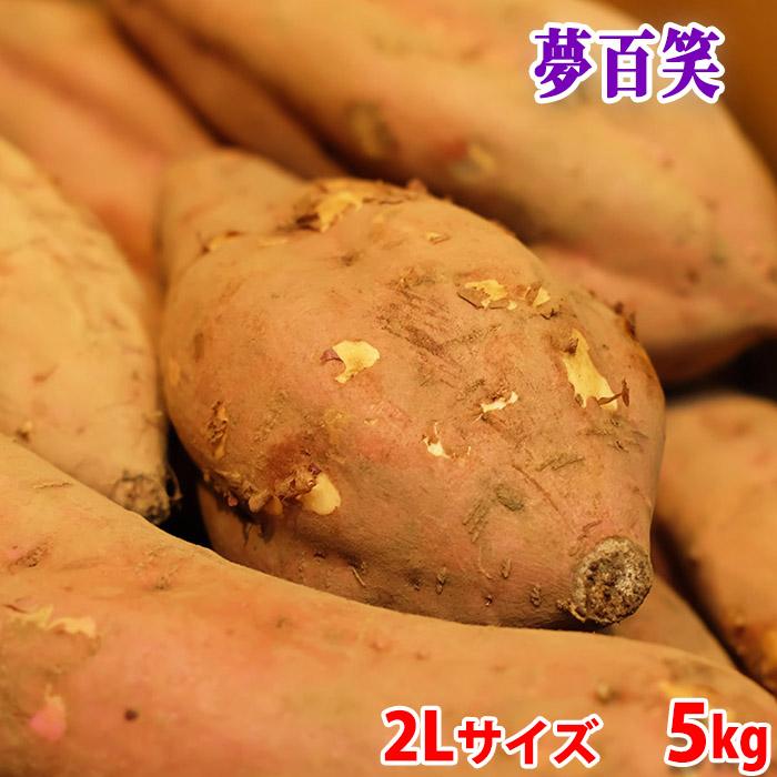鹿児島県産（夢百笑）種子島さつまいも 蜜芋（安納芋） 2Lサイズ （12