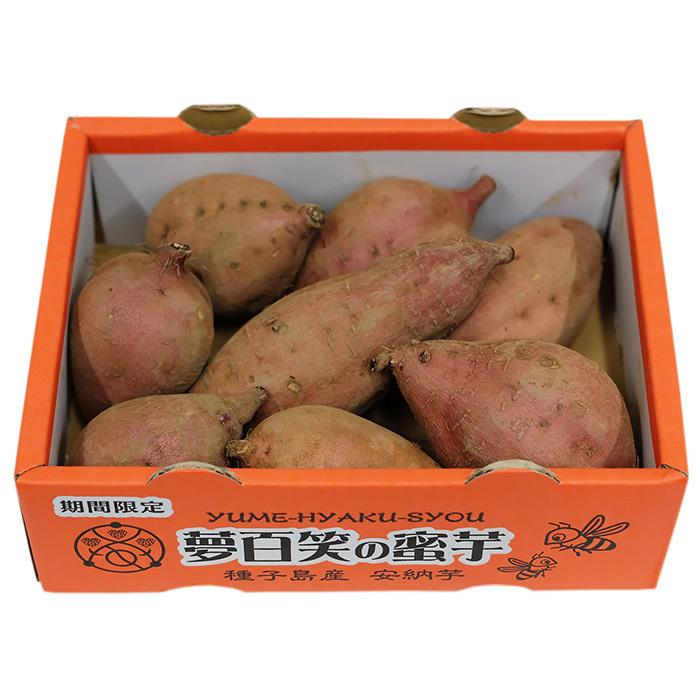 鹿児島県産（夢百笑）種子島さつまいも 蜜芋（安納芋） Sサイズ 約1kg