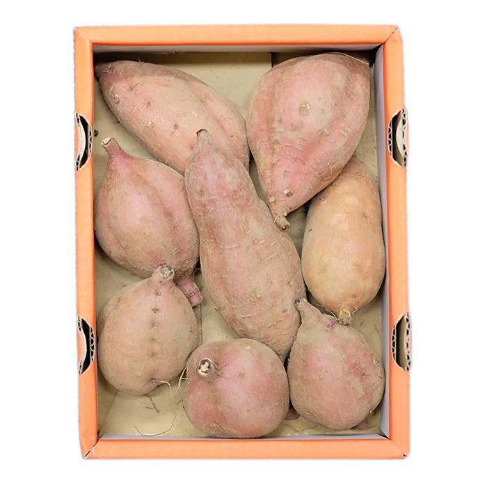 鹿児島県産（夢百笑）種子島さつまいも 蜜芋（安納芋） Sサイズ 約1kg