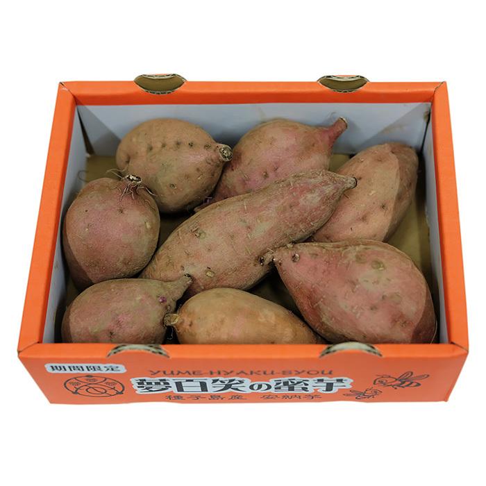 鹿児島県産（夢百笑）種子島さつまいも 蜜芋（安納芋） Sサイズ 約1kg
