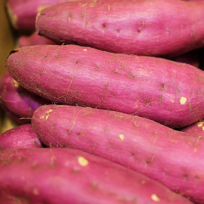 源さん　千葉県産 さつまいも 苗 紅あずま 400本 千葉県産（JAかとり）さつまいも 紅あずま 秀品 Mサイズ 約4.5kg