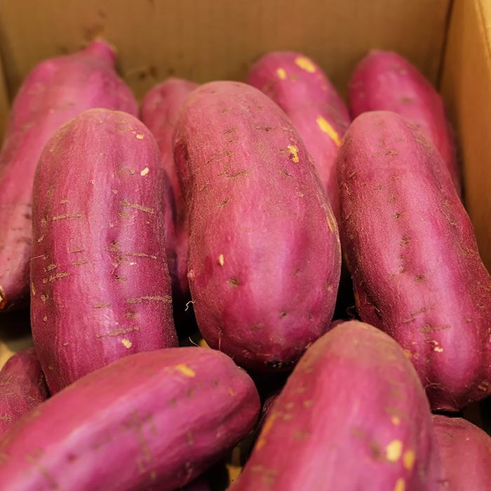 千葉県産（JAかとり）さつまいも 紅あずま 秀品 Lサイズ 約4.5kg（13本