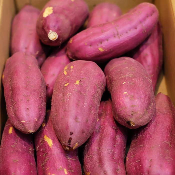 千葉県産（JAかとり）さつまいも 紅あずま 秀品 Lサイズ 約4.5kg（13本