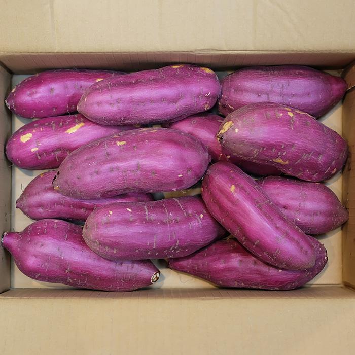 千葉県産（JAかとり）さつまいも 紅あずま 秀品 Lサイズ 約4.5kg（13本