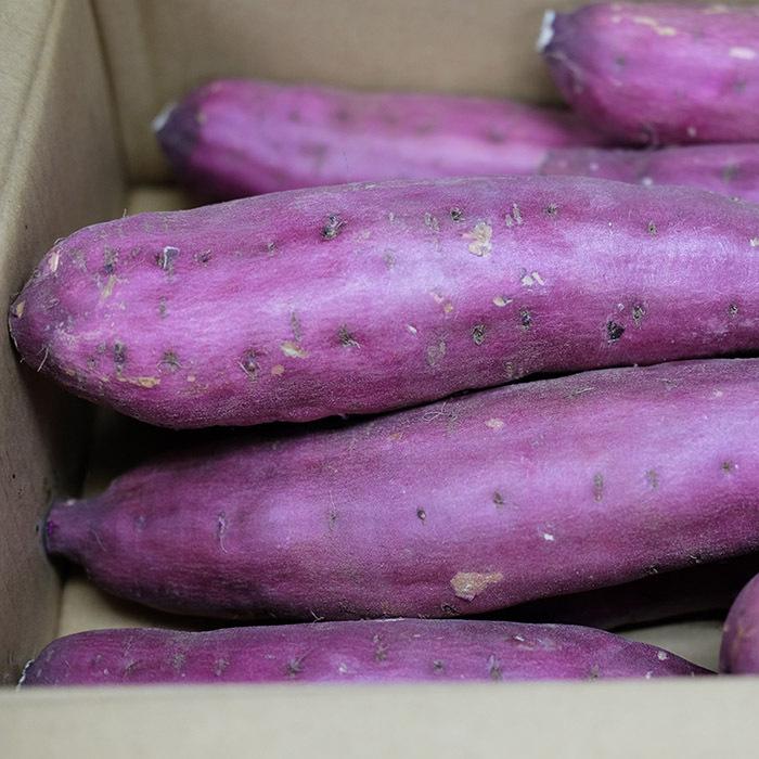 千葉県産（JAかとり）さつまいも 紅あずま 秀品 2Lサイズ 約4.5kg（8本