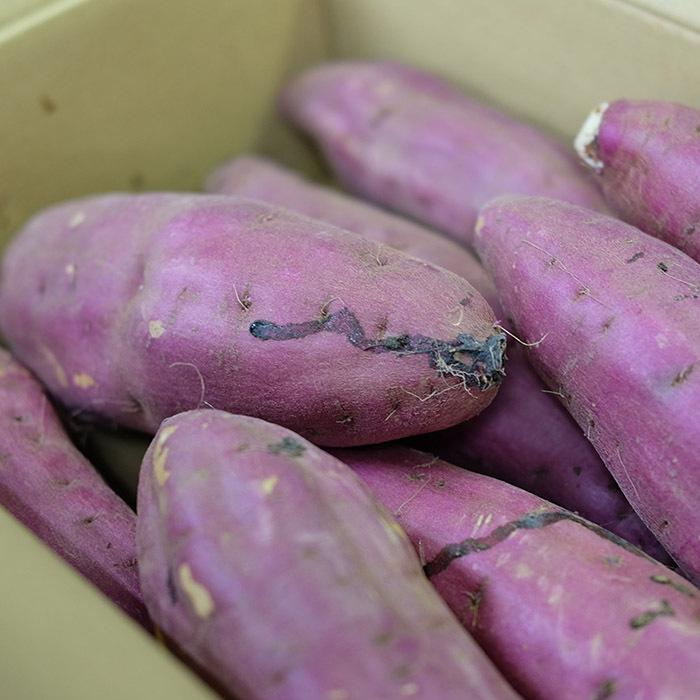 茨城県産紅はるかLサイズ40キロ かず坊品 茨城県産紅はるかLサイズ40キロ かず坊様専用品 【公式通販】