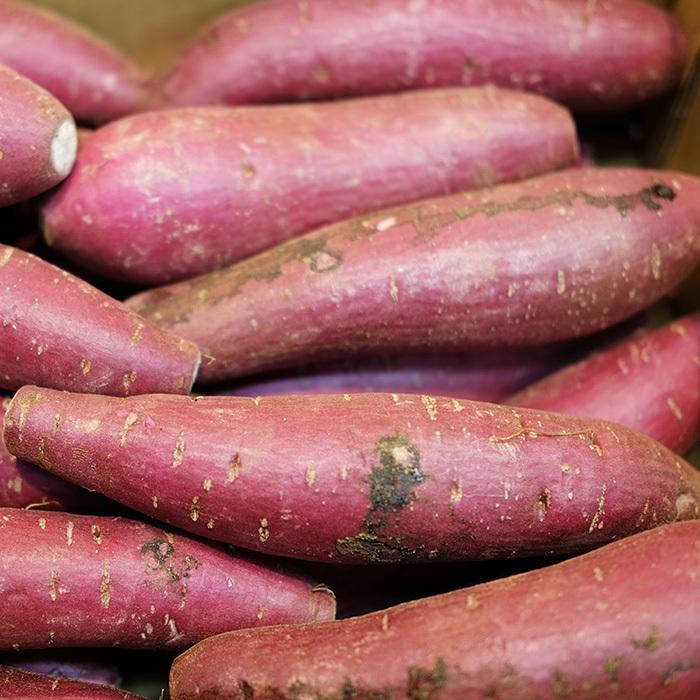 千葉県産（JAかとり）さつまいも ふくむらさき 秀品 Mサイズ 約