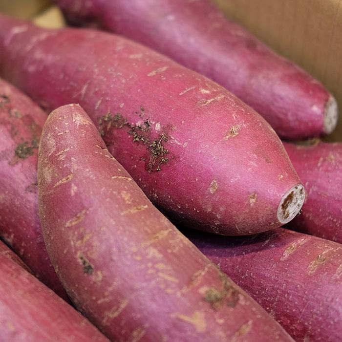 千葉県産（JAかとり）さつまいも ふくむらさき 秀品 2Lサイズ 約4.5kg