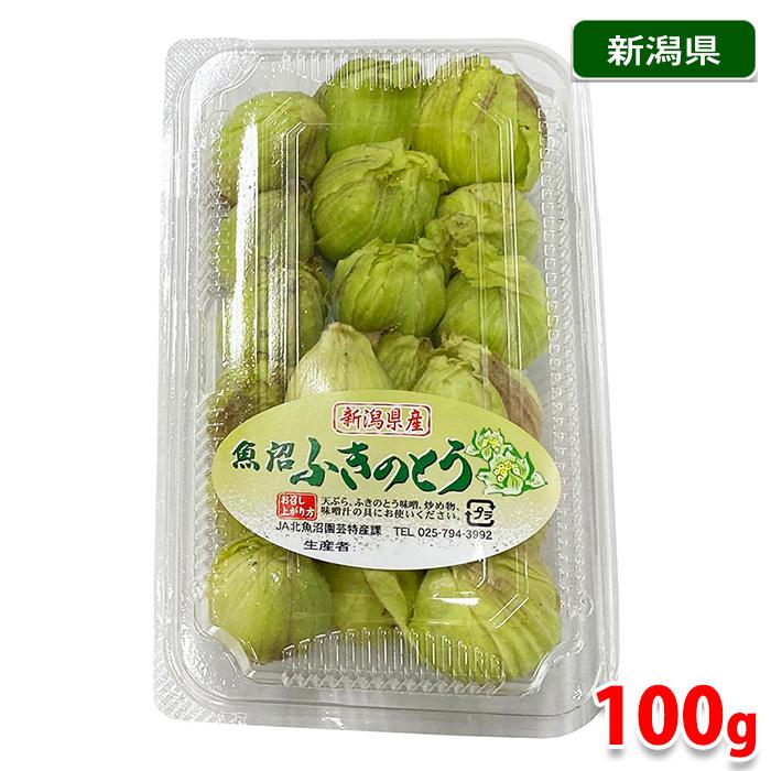 新潟県産他 蕗の薹 （ふきのとう） 約100g 2S〜Sサイズ : 生鮮卸売市場