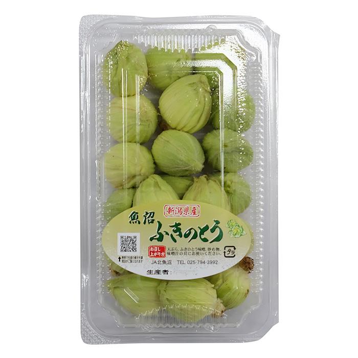 新潟県産他 蕗の薹 （ふきのとう） 約100g 2S〜Sサイズ : 生鮮卸売市場