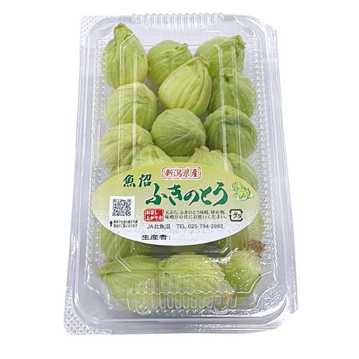 蕗の薹　ふきのとう 新潟県産他 蕗の薹 （ふきのとう） 約100g 2S〜Sサイズ : 生鮮卸売市場