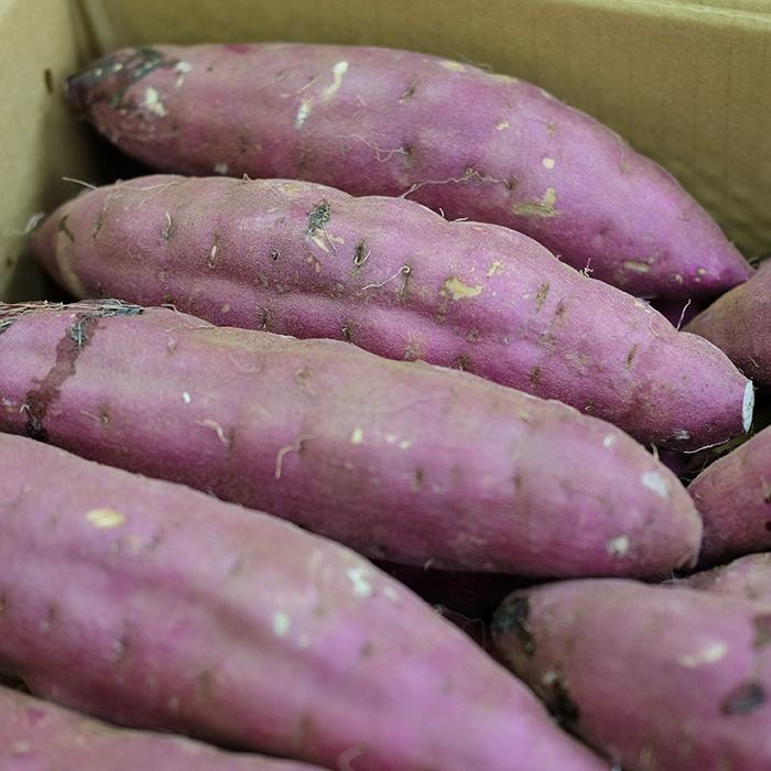 茨城県産紅はるかSサイズ20キロ おでこのでこ品 茨城県産さつまいも紅はるかB品約20㎏S〜Mサイズ - 野菜最 安値
