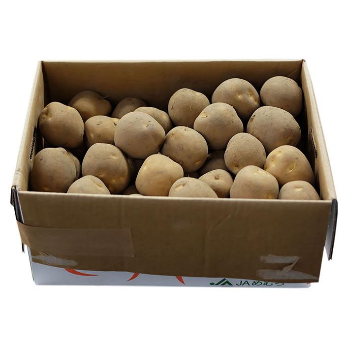 北海道産 じゃがいも とうや Lサイズ 10kg（箱） : 生鮮卸売市場
