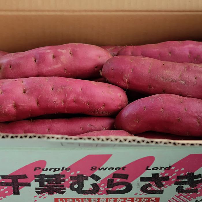 千葉県産（JAかとり）さつまいも 千葉むらさき 秀品 Lサイズ 約4.5kg