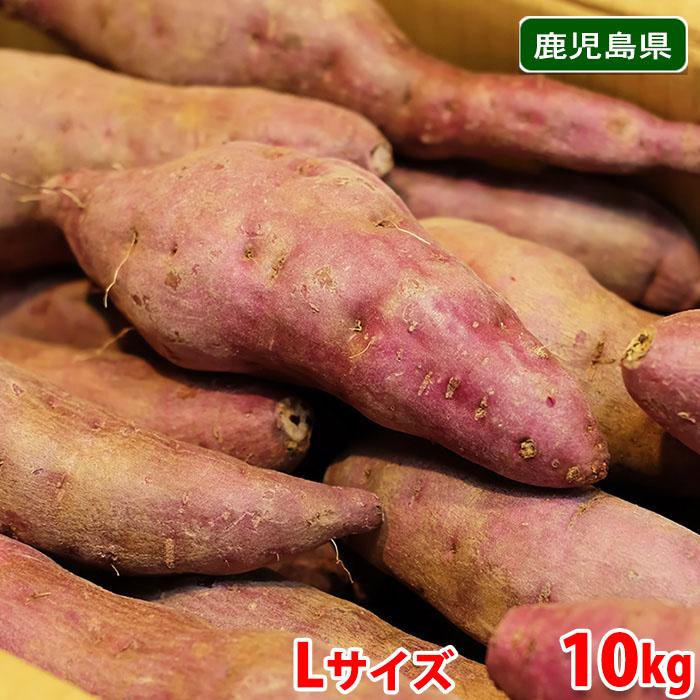 鹿児島県産 紫芋 ナカムラサキ Lサイズ 10kg 箱入り 国産 業務用 鹿児島県産 紫芋 ナカムラサキ Lサイズ 10kg 箱入り 国産 業務用