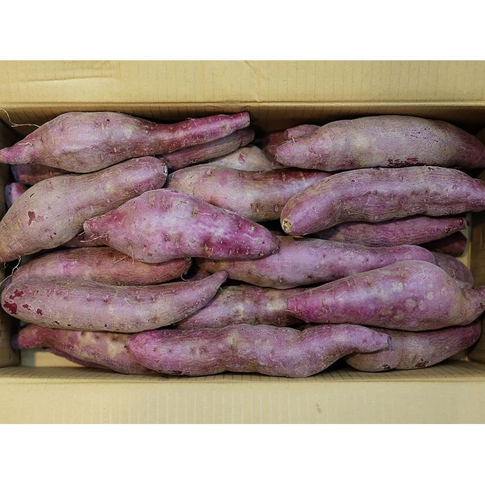 鹿児島県産 紫芋 ナカムラサキ Lサイズ 10kg 箱入り 国産 業務用 鹿児島県産 紫芋 ナカムラサキ Lサイズ 10kg 箱入り 国産 業務用