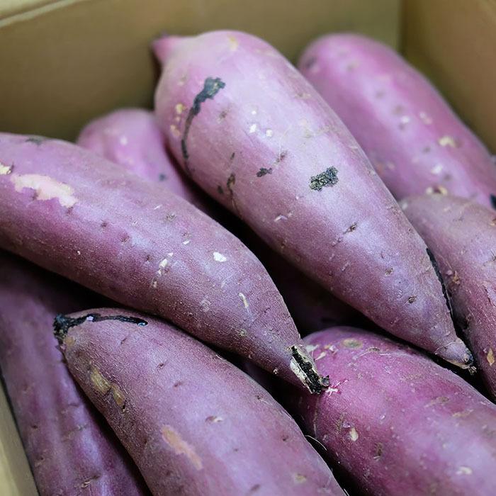 茨城県産（JA茨城旭村）さつまいも 紅はるか 特秀 Lサイズ 約5kg（15本