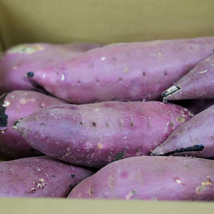 茨城県産（JA茨城旭村）さつまいも 紅はるか 特秀 Lサイズ 約5kg（15本