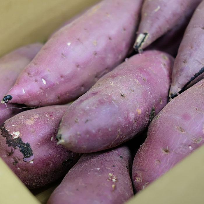 茨城県産（JA茨城旭村）さつまいも 紅はるか 特秀 Lサイズ 約5kg（15本