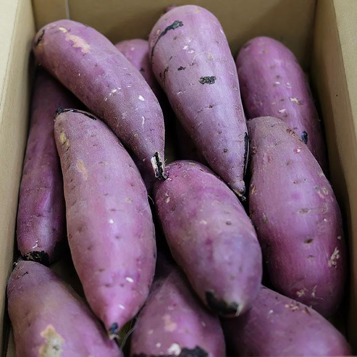 茨城県産（JA茨城旭村）さつまいも 紅はるか 特秀 Lサイズ 約5kg（15本