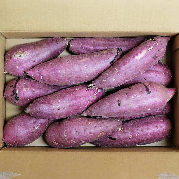 茨城県産（JA茨城旭村）さつまいも 紅はるか 特秀 Lサイズ 約5kg（15本