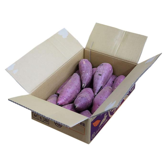 茨城県産（JA茨城旭村）さつまいも 紅はるか 特秀 Lサイズ 約5kg（15本