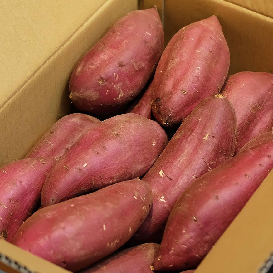 茨城県産(マルタケ)さつまいも シルクスイート A等級 Lサイズ 茨城県産(マルタケ)さつまいも シルクスイート A等級 Lサイズ