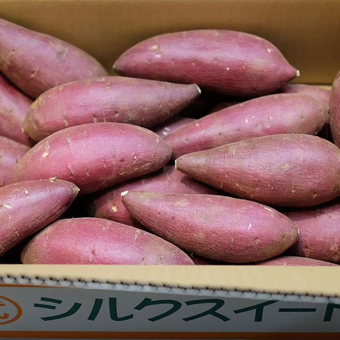 茨城県産（マルタケ）さつまいも シルクスイート A等級 Mサイズ 約5kg