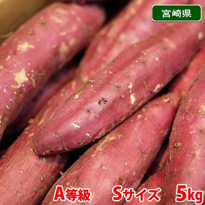宮崎県産（JA串間市大束）さつまいも 紅まさり A等級 Sサイズ 約5kg