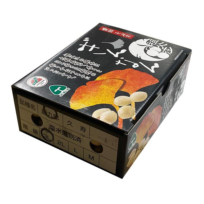 愛知県産 祖父江ぎんなん 藤九郎 2L〜3Lサイズ 500g : 生鮮卸売市場