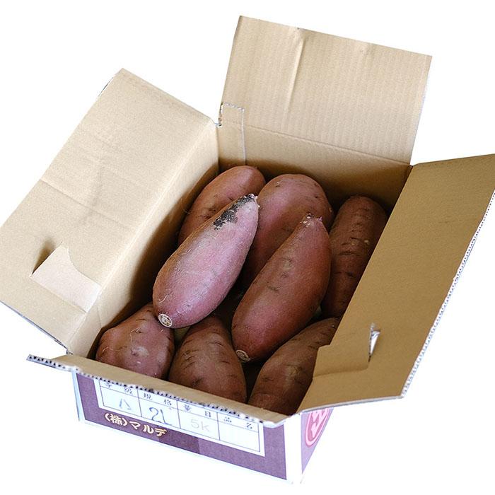 茨城県産 （マルデ） さつまいも 栗かぐや A等級 2Lサイズ 約5kg (約8