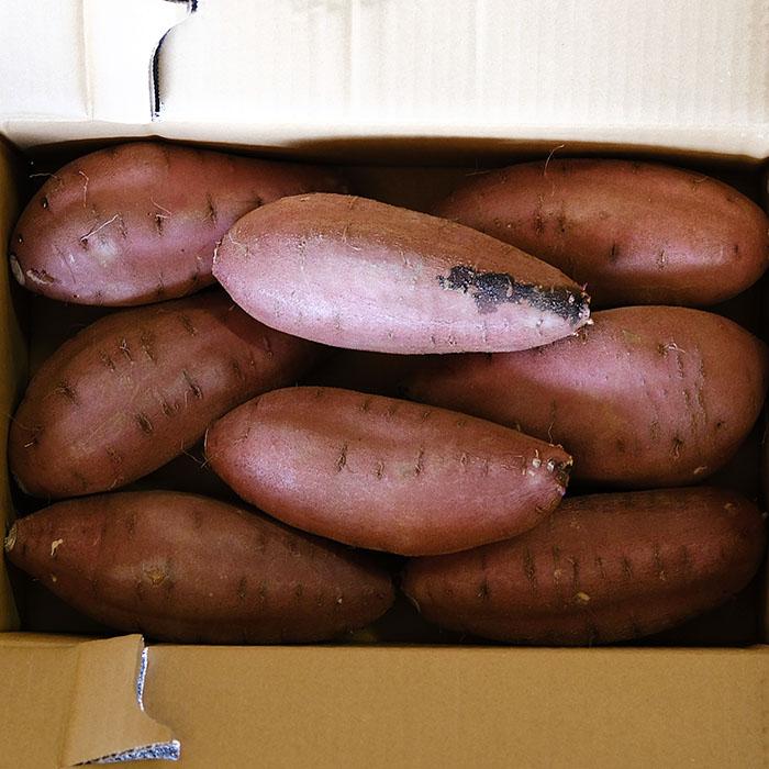 茨城県産 （マルデ） さつまいも 栗かぐや A等級 2Lサイズ 約5kg (約8