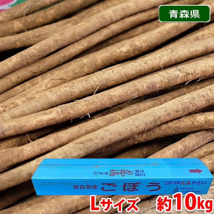 青森県産他 ごぼう 秀品 Lサイズ 約10kg （バラ詰め） : 生鮮卸売市場