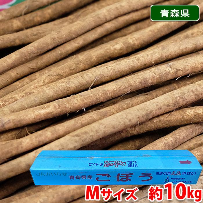 青森県産他 ごぼう 秀品 Mサイズ 約10kg （バラ詰め） : 生鮮卸売市場