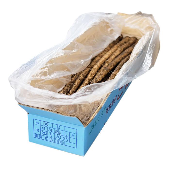 青森県産他 ごぼう 秀品 2Lサイズ 約10kg （バラ詰め） : 生鮮卸売市場