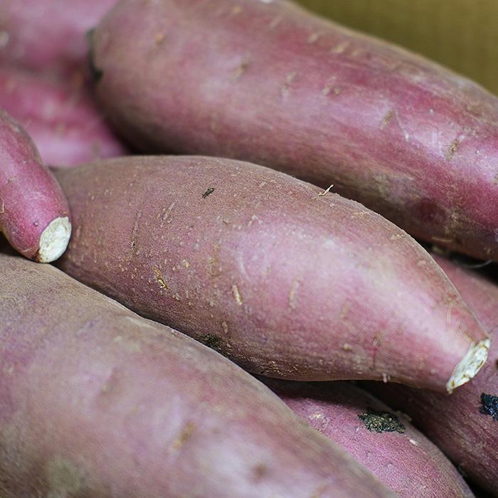 茨城県産 （マルタケ） さつまいも 紅はるか A等級 Lサイズ 約5kg （13