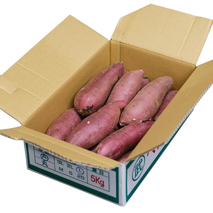 茨城県産 （マルタケ） さつまいも 紅はるか A等級 Lサイズ 約5kg （13