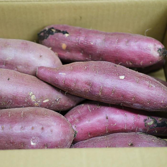 茨城県産 （マルタケ） さつまいも 紅はるか A等級 Lサイズ 約5kg （13