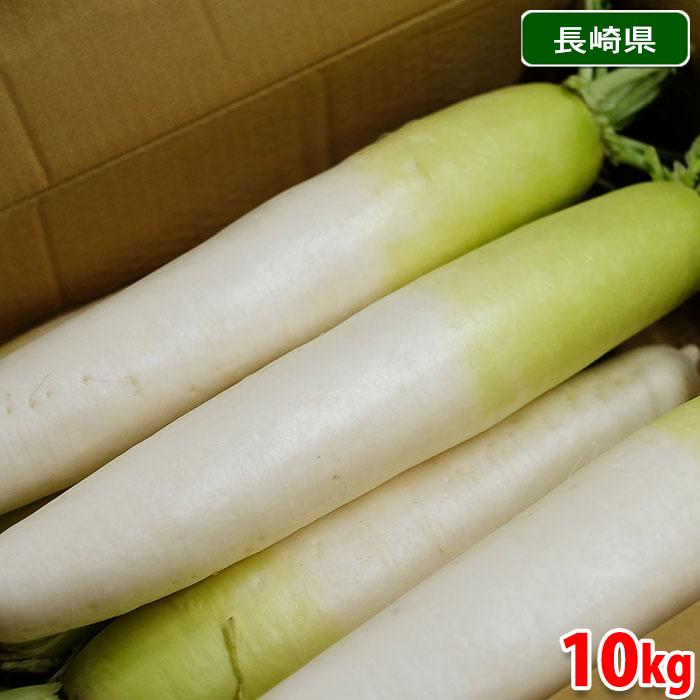長崎県産他 大根 （だいこん） 2L〜3Lサイズ 7〜8本入り 約10kg （箱